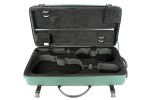 BAM 2006SF DOUBLE CASE f. violin/viola, green .