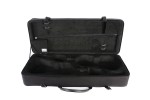 BAM 2005SN Classic DOUBLE CASE f. 2 violins, black .