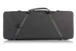 BAM 2005SN Classic DOUBLE CASE f. 2 violins, black .