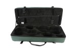 BAM 2005SF Classic DOUBLE CASE f. 2 violins, green
